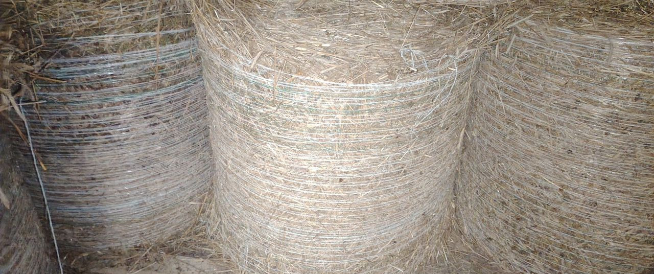 Новый Инвентарь для животноводства Ржаная солома с зерном. Гатчина: фото 7 Новый Инвентарь для животноводства Ржаная солома с зерном. Гатчина: фото 7