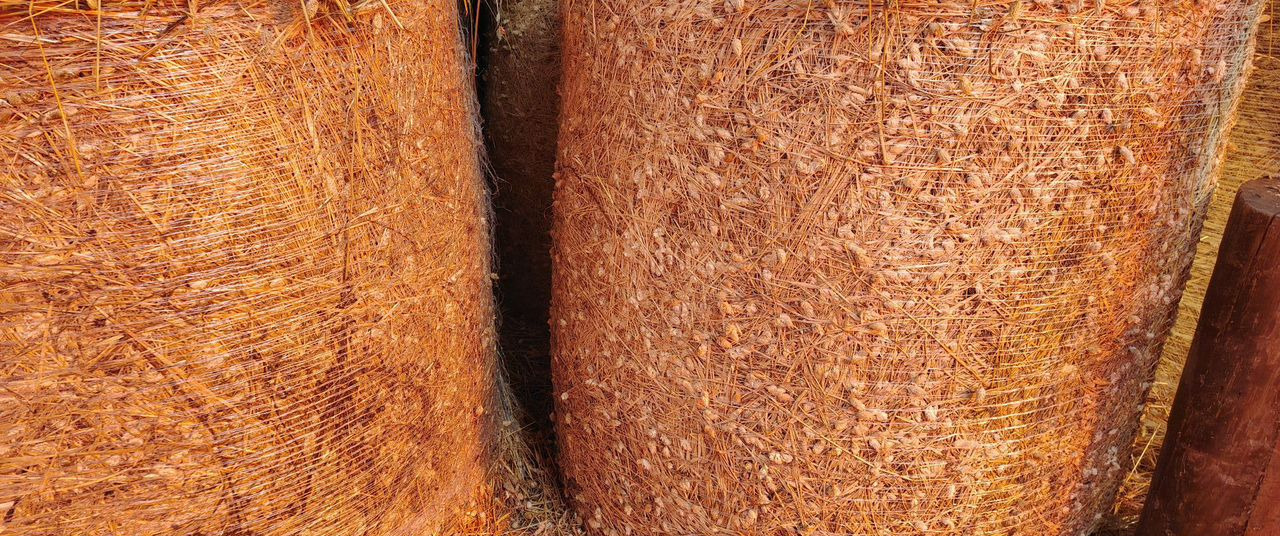 Сено канареечник. Гатчина - Инвентарь для животноводства: фото 5 Сено канареечник. Гатчина - Инвентарь для животноводства: фото 5