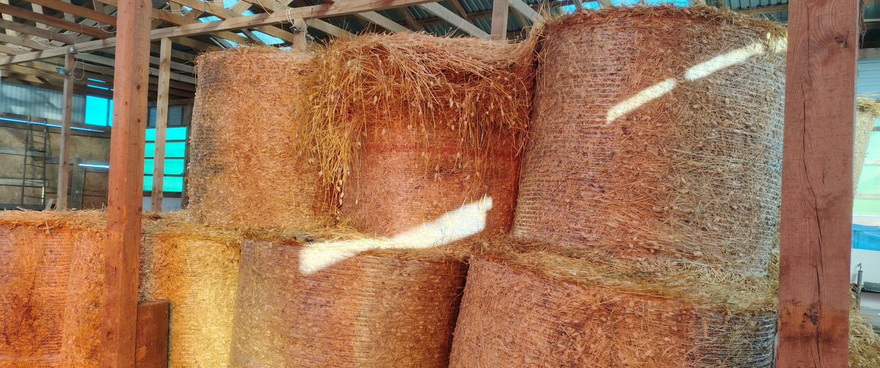 Сено канареечник. Гатчина - Инвентарь для животноводства: фото 1 Сено канареечник. Гатчина - Инвентарь для животноводства: фото 1