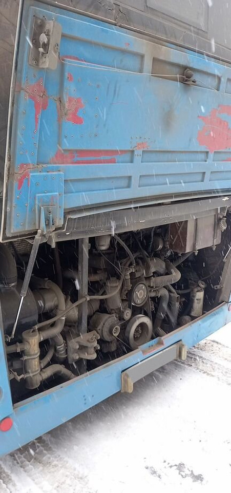 Городской автобус МАЗ 206: фото 6