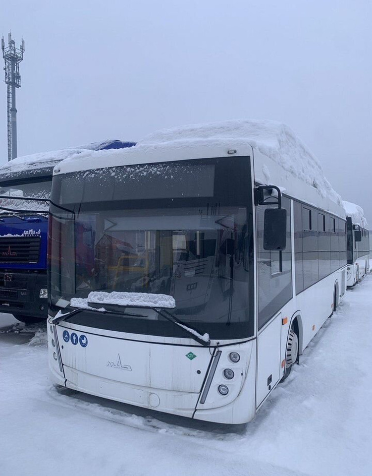 МАЗ 206047 - Городской автобус: фото 1 МАЗ 206047 - Городской автобус: фото 1