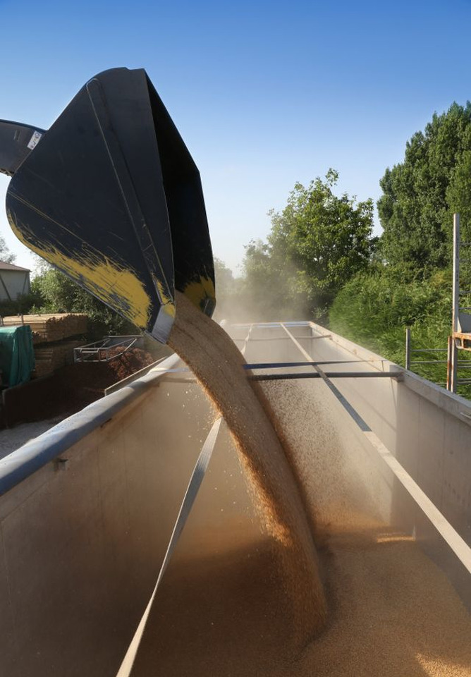 Новый Самосвальный полуприцеп Kraker K-Force Agri: фото 6