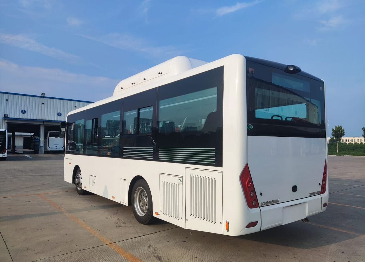 Новый Городской автобус Zhongtong LCK6860HGN: фото 9