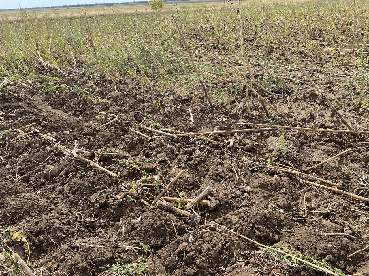 Полевой каток АКП-6Р: фото 9