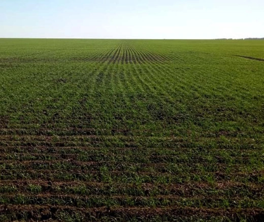 Посевной комплекс "ИРТЫШ" 11.8 06 А - Посевной комплекс: фото 3 Посевной комплекс "ИРТЫШ" 11.8 06 А - Посевной комплекс: фото 3