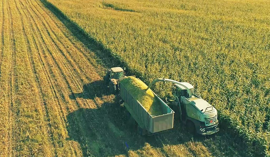 Прицеп тракторный Тонар-БС17 - Сельскохозяйственный прицеп: фото 3 Прицеп тракторный Тонар-БС17 - Сельскохозяйственный прицеп: фото 3