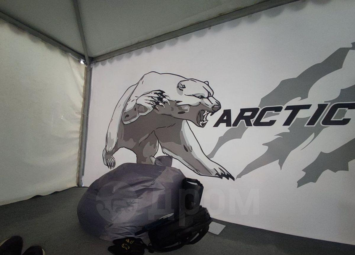 Экскаватор-погрузчик ARCTIC BEAR 4BX-T: фото 32