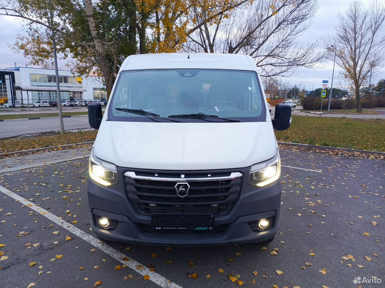 ГАЗ Соболь NN 2.5 MT - Пассажирский фургон: фото 4 ГАЗ Соболь NN 2.5 MT - Пассажирский фургон: фото 4