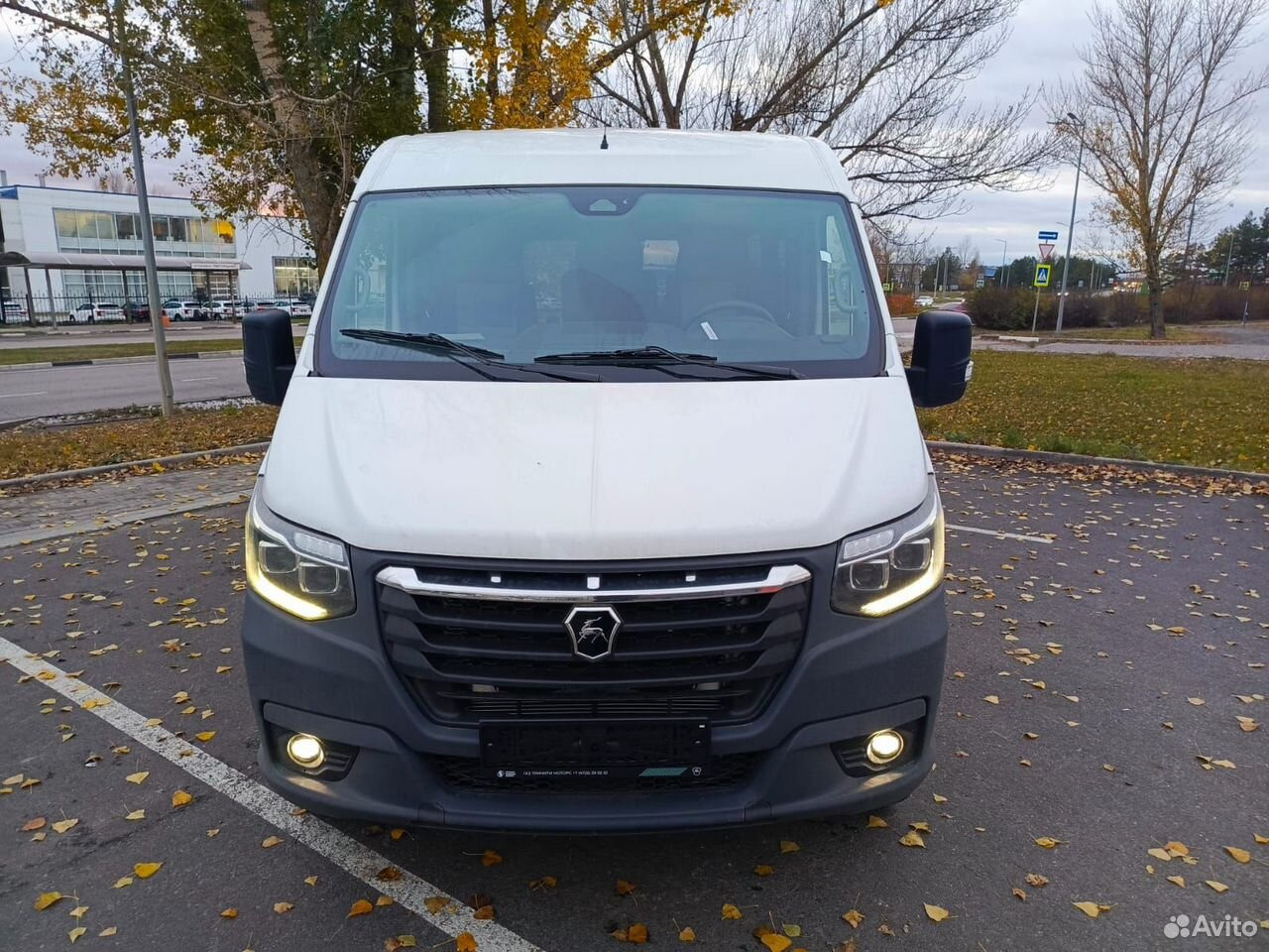 ГАЗ Соболь NN 2.5 MT - Пассажирский фургон: фото 3 ГАЗ Соболь NN 2.5 MT - Пассажирский фургон: фото 3