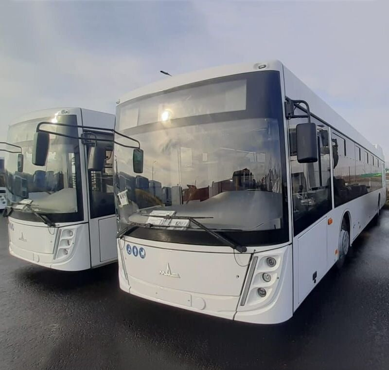 МАЗ 203 - Городской автобус: фото 1 МАЗ 203 - Городской автобус: фото 1