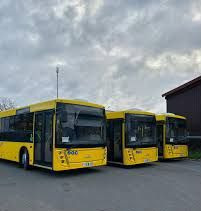 МАЗ 203 - Городской автобус: фото 2 МАЗ 203 - Городской автобус: фото 2