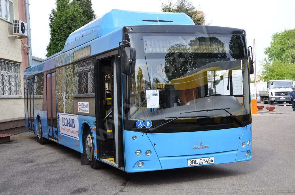 МАЗ-203965 - Городской автобус: фото 1 МАЗ-203965 - Городской автобус: фото 1