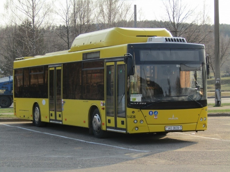 МАЗ-203С65 - Городской автобус: фото 1 МАЗ-203С65 - Городской автобус: фото 1
