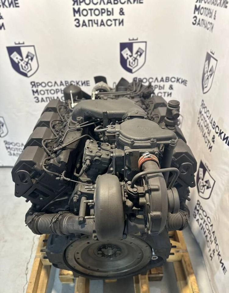 Новый Двигатель Двигатель тмз. Мотортмз 8481: фото 6