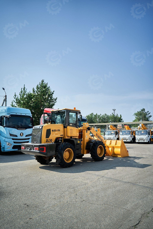 Yugong ZL30 - Колёсный погрузчик: фото 5 Yugong ZL30 - Колёсный погрузчик: фото 5