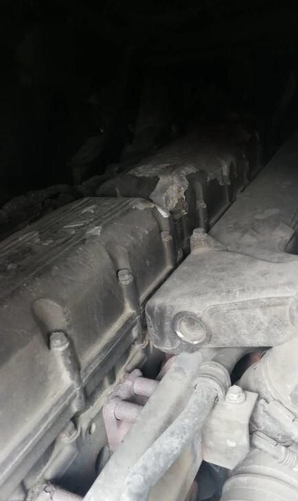 DAF XF - Двигатель: фото 1 DAF XF - Двигатель: фото 1