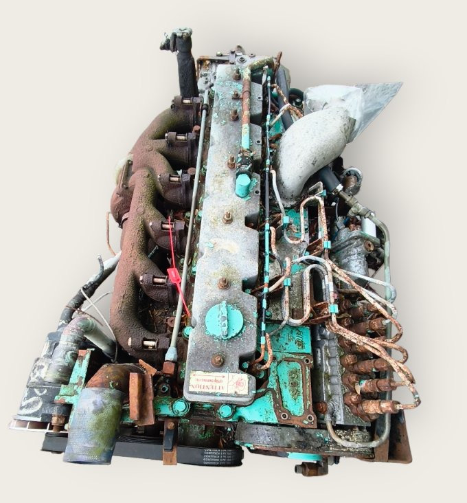 Двигатель CUMMINS B03191595 - Двигатель: фото 2 Двигатель CUMMINS B03191595 - Двигатель: фото 2