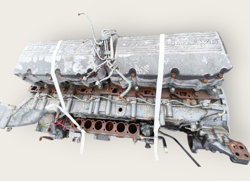 Двигатель DAF 2003 XE315C1 95.430XF/XF95 XE315C1 - Двигатель: фото 3 Двигатель DAF 2003 XE315C1 95.430XF/XF95 XE315C1 - Двигатель: фото 3