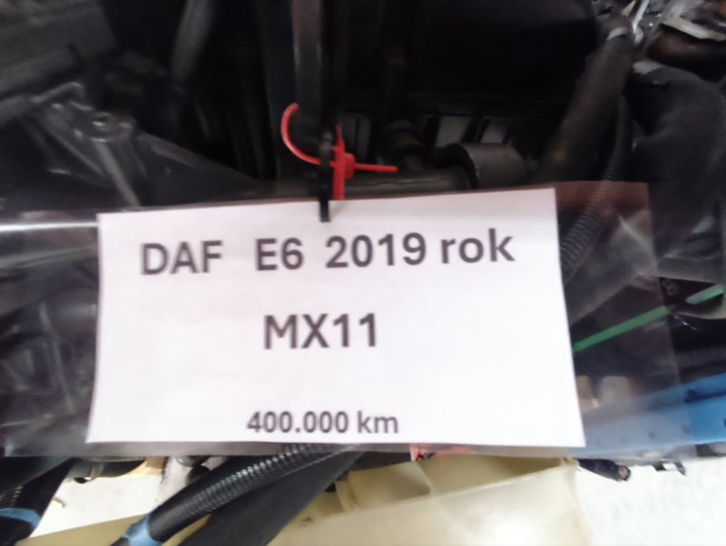 Двигатель Двигатель DAF 2019 MX11 MX11: фото 8