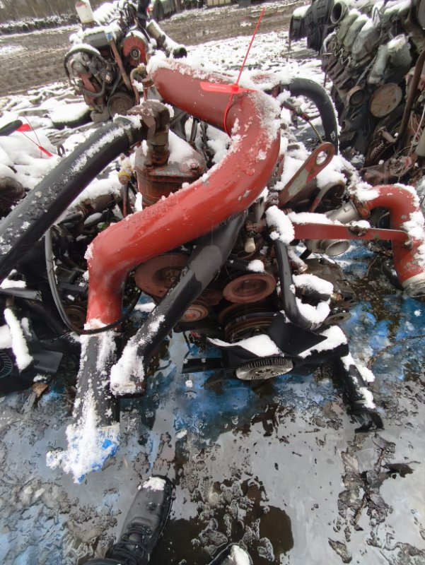 Двигатель IVECO 1995 804045 EUROCARGO 8040.45 - Двигатель: фото 1 Двигатель IVECO 1995 804045 EUROCARGO 8040.45 - Двигатель: фото 1