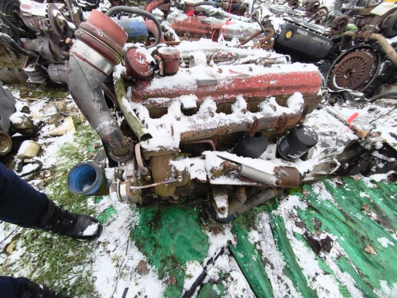 Двигатель IVECO 1999 806045 EUROCARGO 8060.45 - Двигатель: фото 4 Двигатель IVECO 1999 806045 EUROCARGO 8060.45 - Двигатель: фото 4