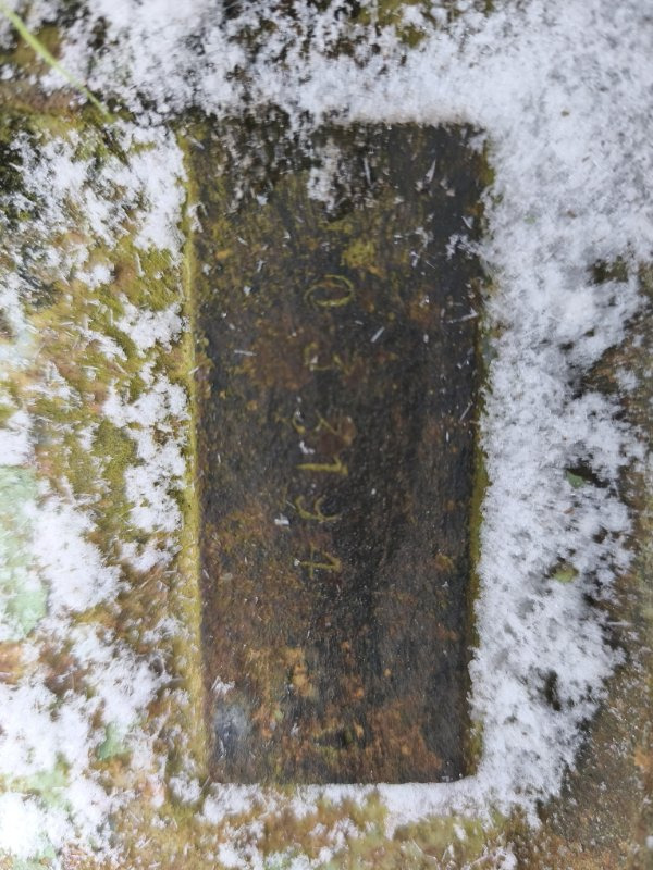 Двигатель Двигатель MERCEDES 1992 OM314 LK/LN2 OM314: фото 7 Двигатель Двигатель MERCEDES 1992 OM314 LK/LN2 OM314: фото 7