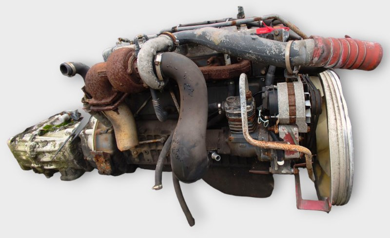 Двигатель RENAULT 2008 MIDR060226V4 MIDLUM MIDR 060226V4 - Двигатель: фото 3 Двигатель RENAULT 2008 MIDR060226V4 MIDLUM MIDR 060226V4 - Двигатель: фото 3