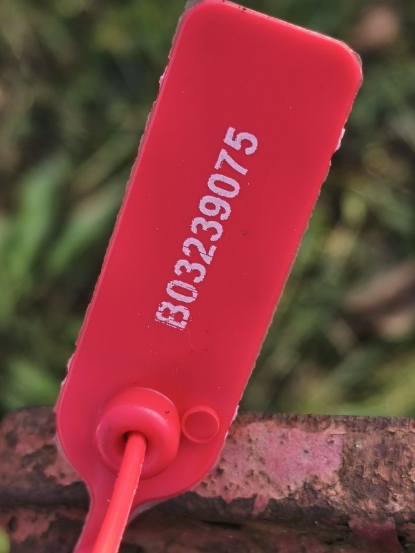 МКПП IVECO S6-36 1995 S636 8060.41C - Коробка передач: фото 4 МКПП IVECO S6-36 1995 S636 8060.41C - Коробка передач: фото 4