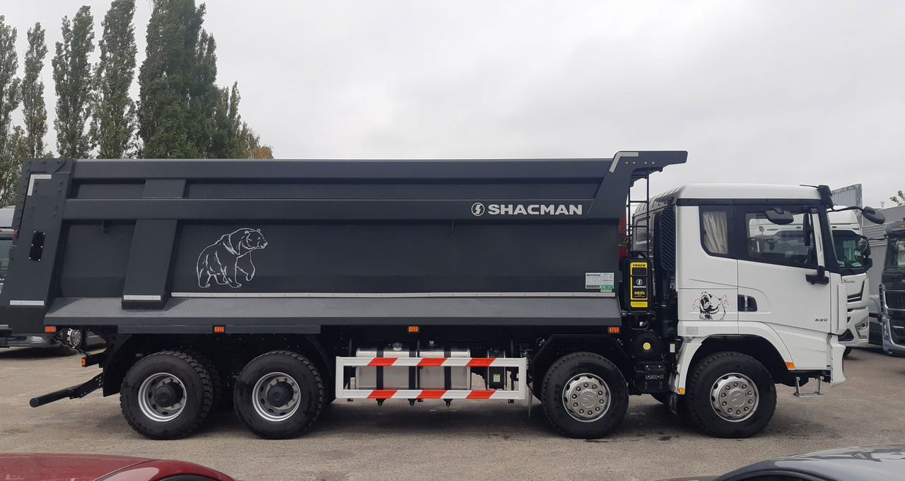 Новый Самосвал Shacman X3000: фото 7