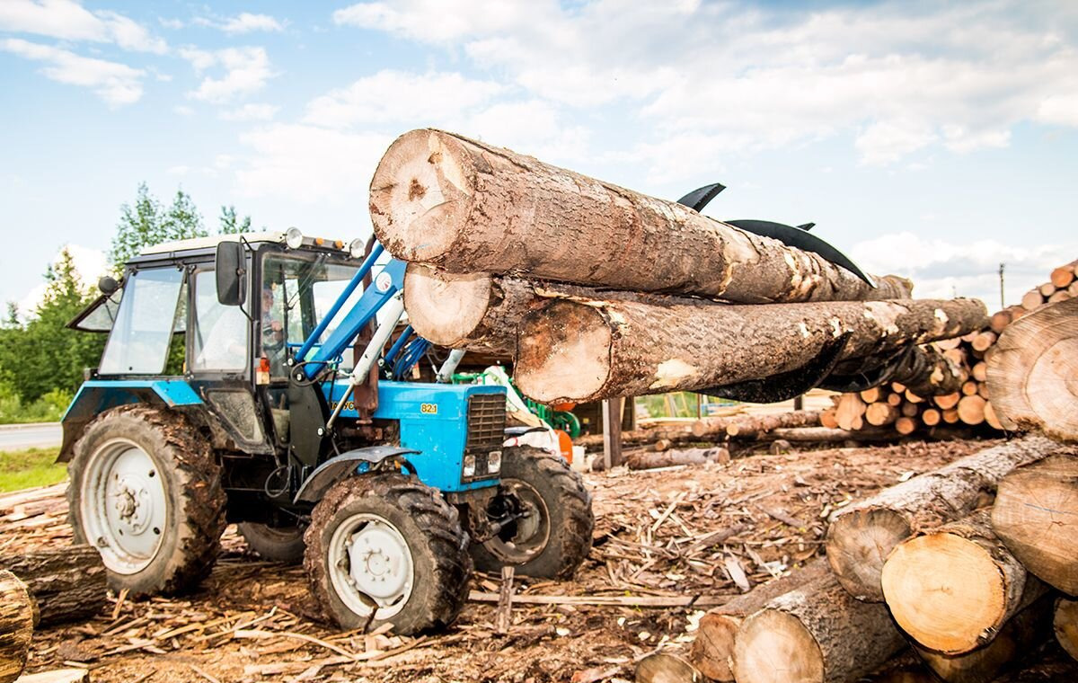 Вилы для леса - Грейфер для Лесозаготовительной техники: фото 2 Вилы для леса - Грейфер для Лесозаготовительной техники: фото 2