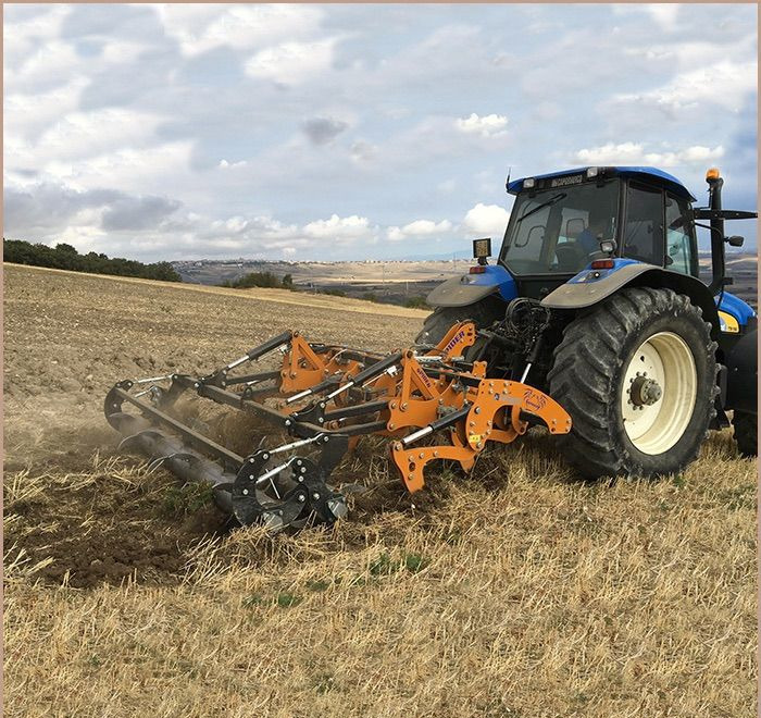 Глубокорыхлитель Moro Aratri Spider - Глубокорыхлитель: фото 2 Глубокорыхлитель Moro Aratri Spider - Глубокорыхлитель: фото 2