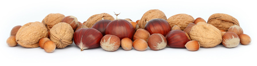 СУШИЛКА 80 EN - Зерносушилка: фото 3 СУШИЛКА 80 EN - Зерносушилка: фото 3