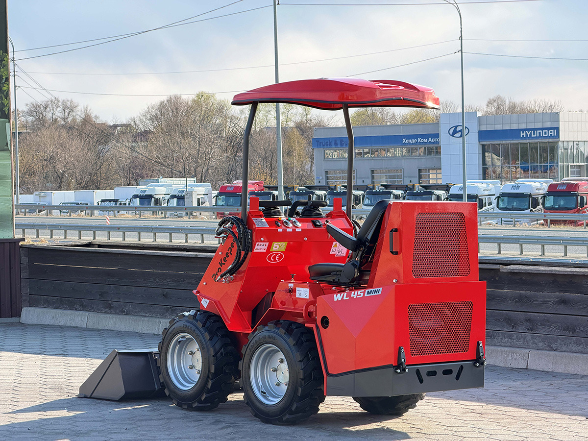 Мини-погрузчик (с бортовым поворотом) WL45 mini: фото 8