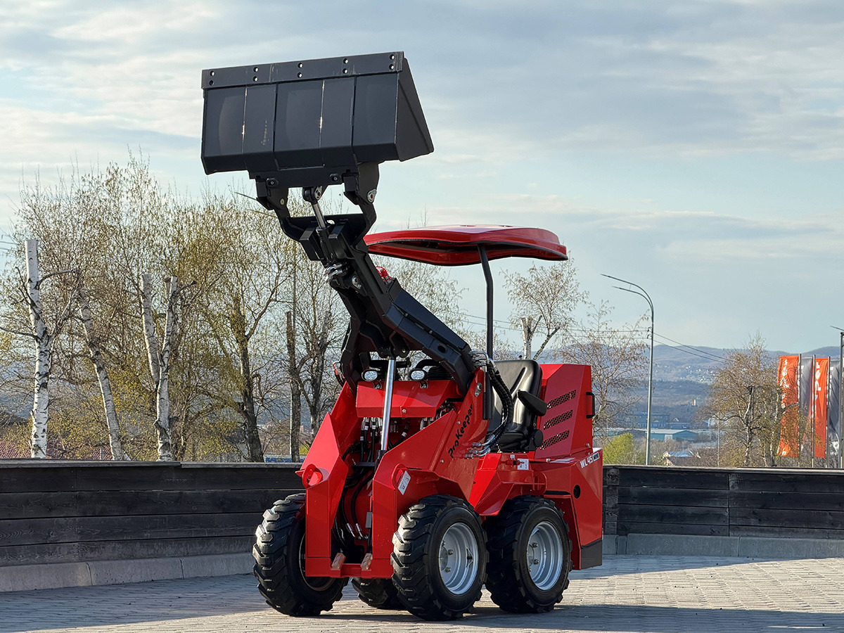 Мини-погрузчик (с бортовым поворотом) WL45 mini: фото 6