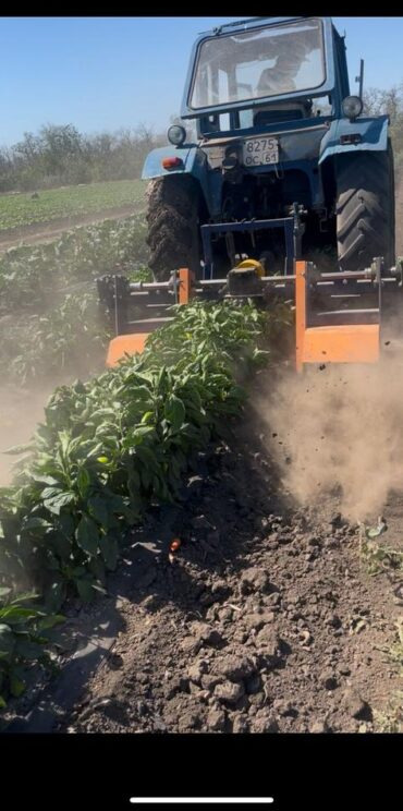 GASPAR AGRO Междурядная фреза для прополки сорняков — Gaspar Agro - Техника для обработки почвы: фото 5 GASPAR AGRO Междурядная фреза для прополки сорняков — Gaspar Agro - Техника для обработки почвы: фото 5