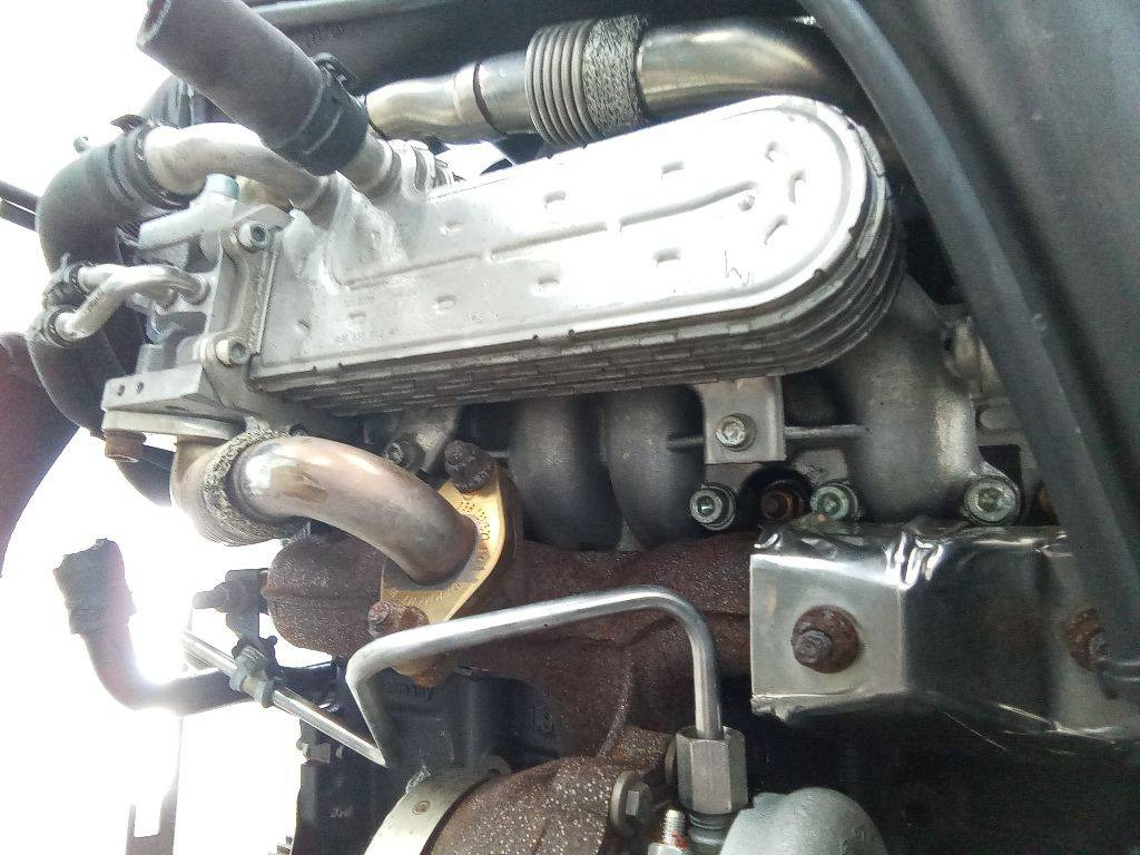 Радиатор EGR Volkswagen Golf 4 2005 038131513 - Система охлаждения для Легковых автомобилей: фото 3 Радиатор EGR Volkswagen Golf 4 2005 038131513 - Система охлаждения для Легковых автомобилей: фото 3