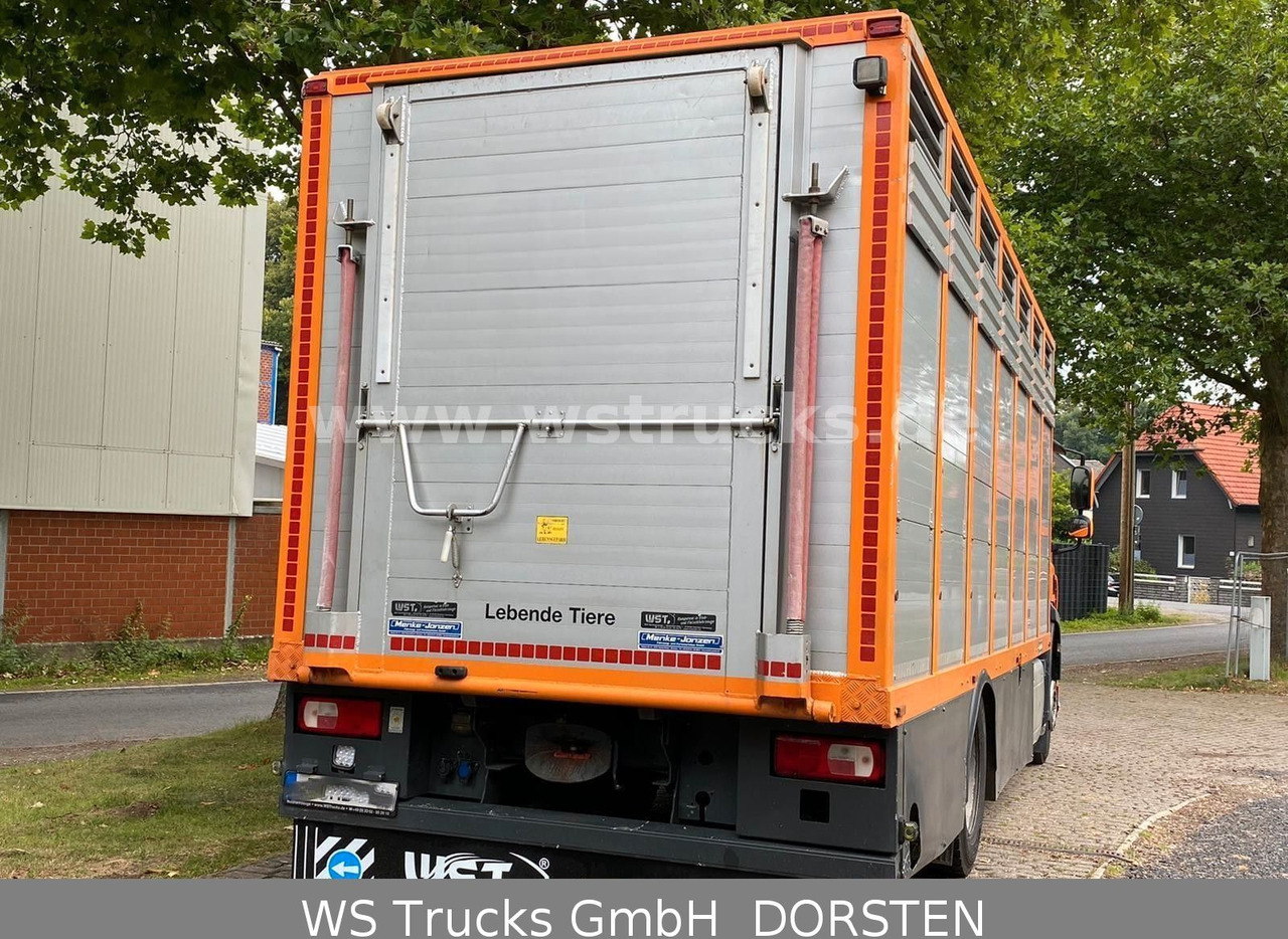 DAF CF 400 Menke Einstock - Коневоз: фото 3 DAF CF 400 Menke Einstock - Коневоз: фото 3