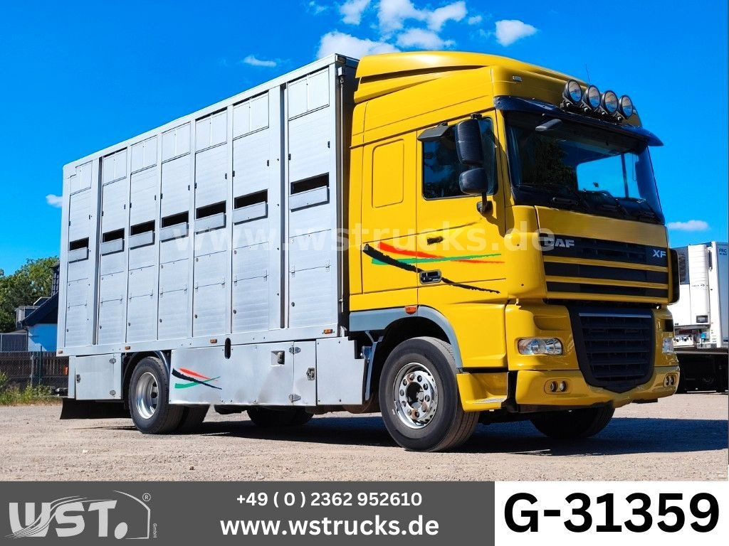 DAF XF 410 SC Menke Doppelstock - Коневоз: фото 1 DAF XF 410 SC Menke Doppelstock - Коневоз: фото 1