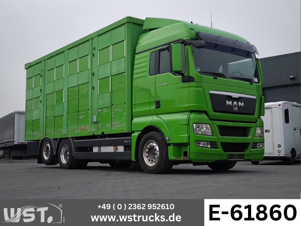 MAN TGX 26.480 XL KABA 3 Stock Vollalu - Грузовик для перевозки животных: фото 1 MAN TGX 26.480 XL KABA 3 Stock Vollalu - Грузовик для перевозки животных: фото 1