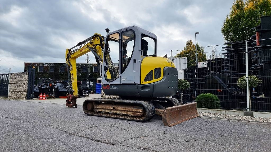 Wacker Neuson Minibagger 6003 RD, Verstellausl., MS08, Powertilt  в лизинг Wacker Neuson Minibagger 6003 RD, Verstellausl., MS08, Powertilt: фото 13