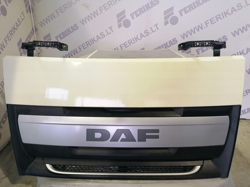 DAF xf 106 - Решётка радиатора для Грузовиков: фото 1