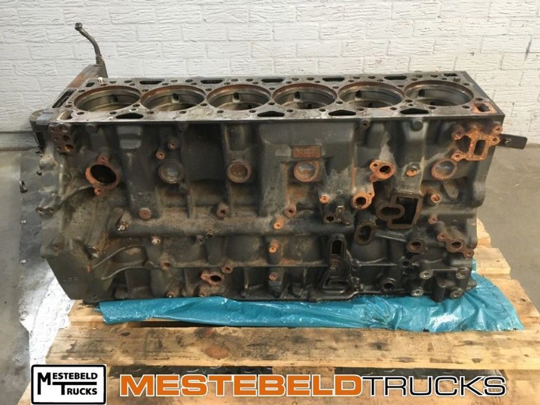 DAF Motorblok MX 11 - Двигатель и запчасти для Грузовиков: фото 1