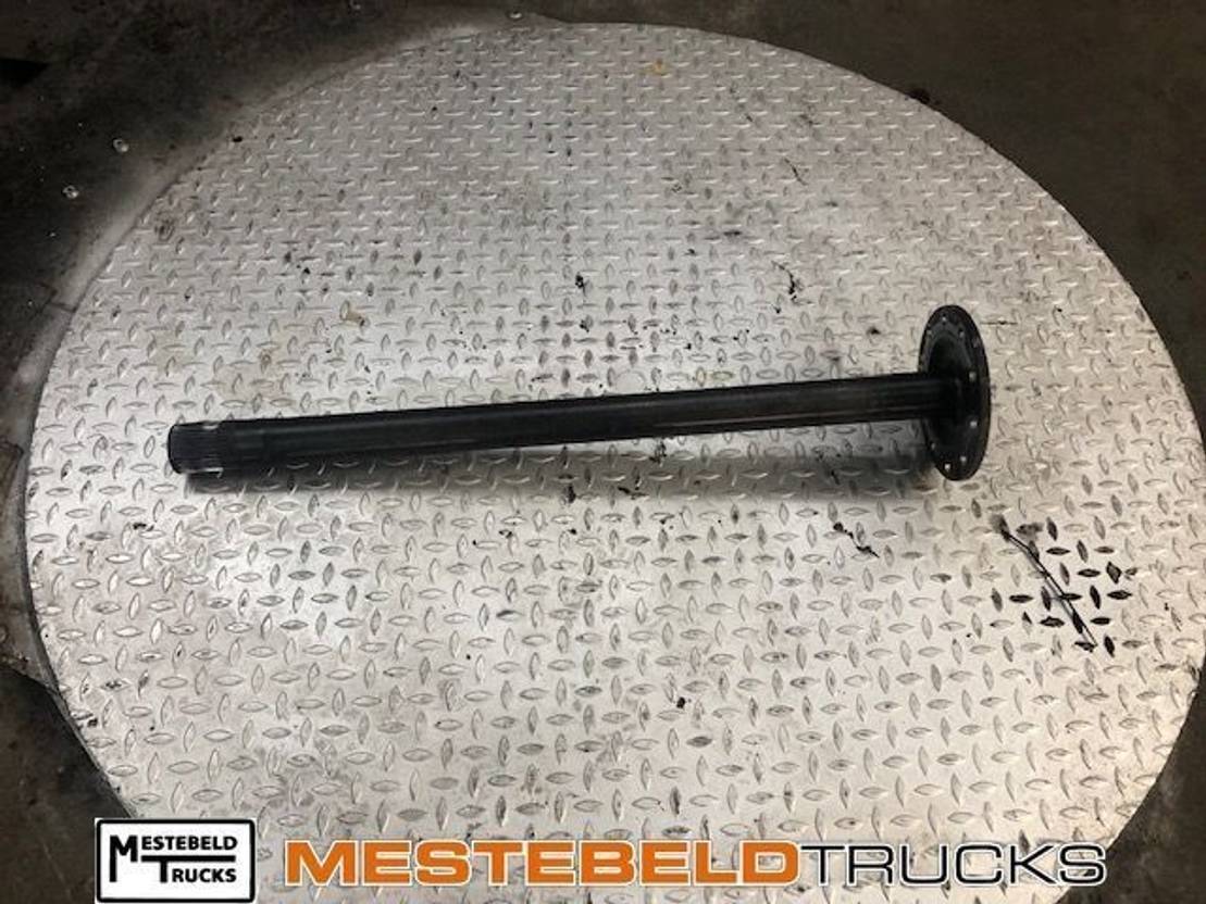 DAF Steekas links - Задняя ось для Грузовиков: фото 1