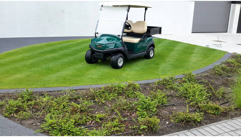 Club Car tempo 2020  whit cargo box new battery pack - Гольф-кар: фото 1