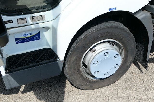 Renault Midlum 220 4x2, LBW, AHK, 6.100mm lang, Klima  в лизинг Renault Midlum 220 4x2, LBW, AHK, 6.100mm lang, Klima: фото 8