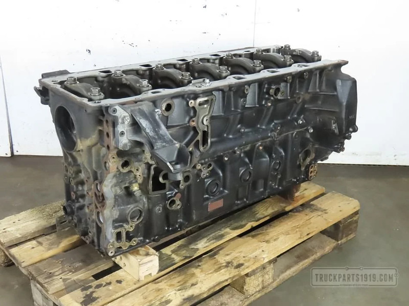 DAF Engines & Parts Cilinderblok DAF MX 11 - Блок цилиндров для Грузовиков: фото 1
