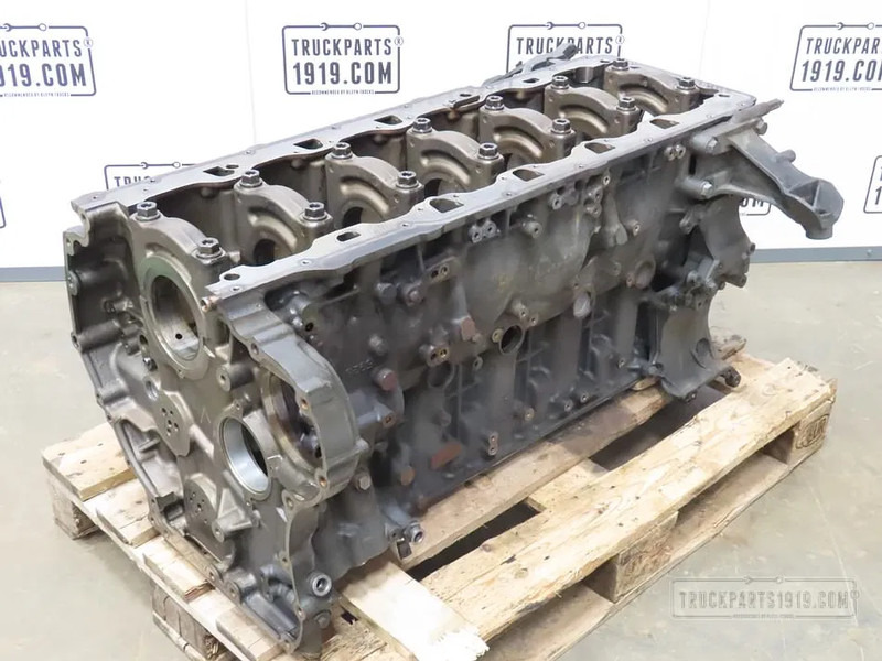 DAF Engines & Parts Cilinderblok DAF MX11 - Двигатель и запчасти для Грузовиков: фото 1 DAF Engines & Parts Cilinderblok DAF MX11 - Двигатель и запчасти для Грузовиков: фото 1