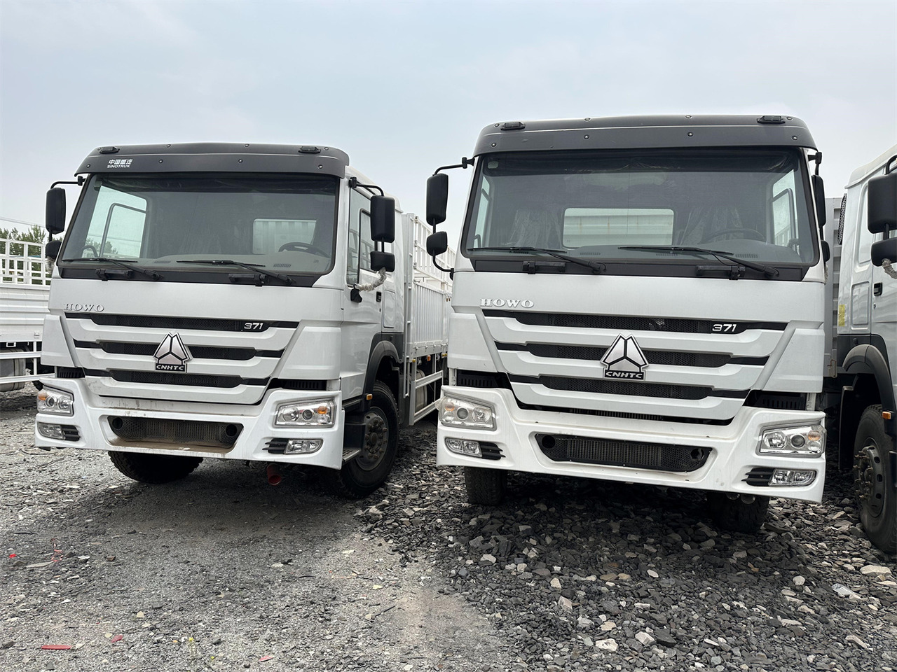 SINOTRUK HOWO 371 Cargo Truck - Грузовик для перевозки животных: фото 1 SINOTRUK HOWO 371 Cargo Truck - Грузовик для перевозки животных: фото 1