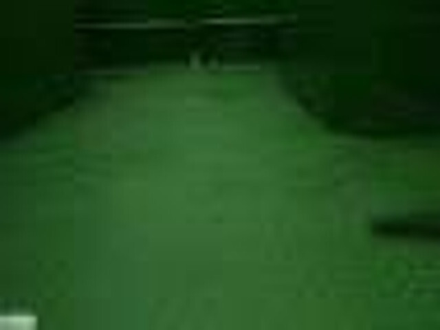 Dinapolis przyczepa do przewozu bydła TRV 510 - Прицеп для перевозки животных: фото 1