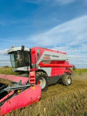 Massey Ferguson 7274 CEREA - Зерноуборочный комбайн: фото 1